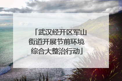 武汉经开区军山街道开展节前环境综合大整治行动